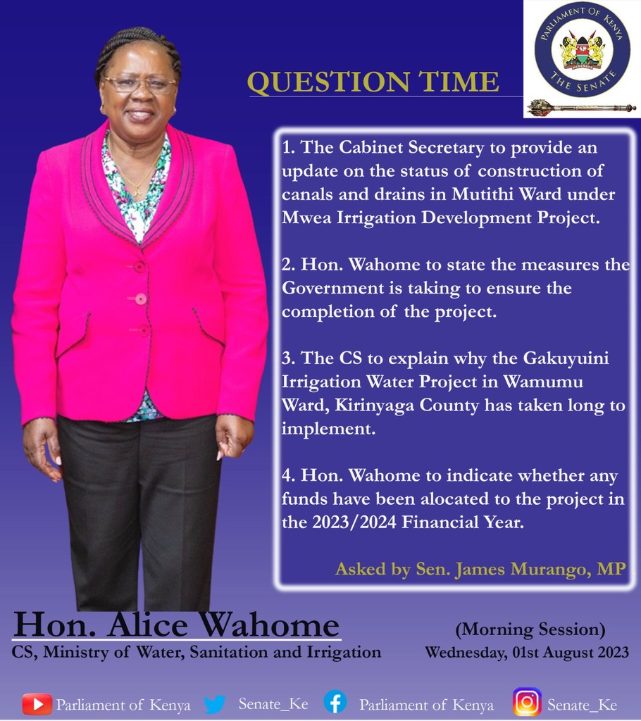 QUESTION TIME: Hon. Alice Wahome - CS, Ministry of Water, Sanitation and Irrigation