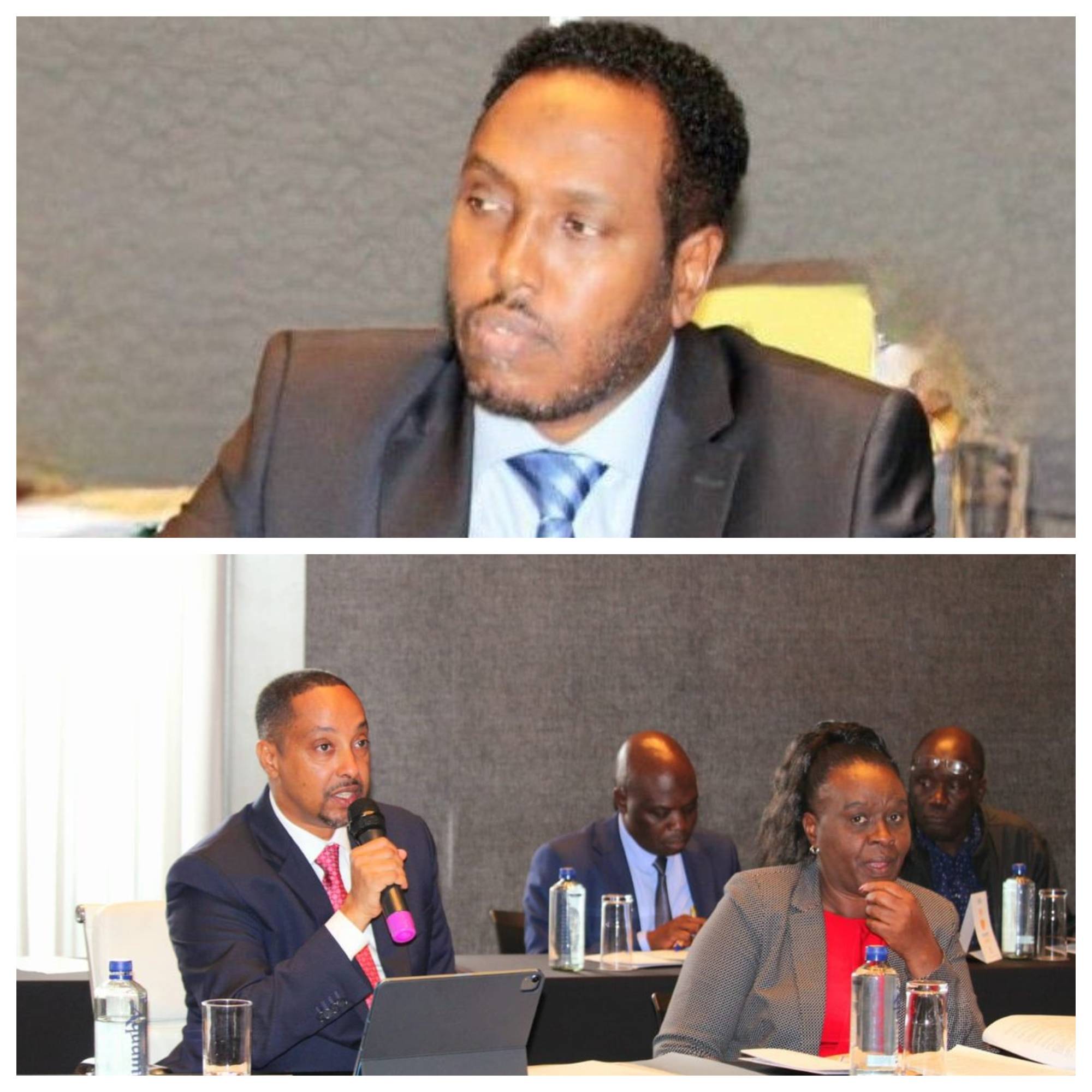REGIONAL INTEGRATION COMMITTEE CALLS FOR RESOLUTION OF MIGINGO ISLAND DISPUTE