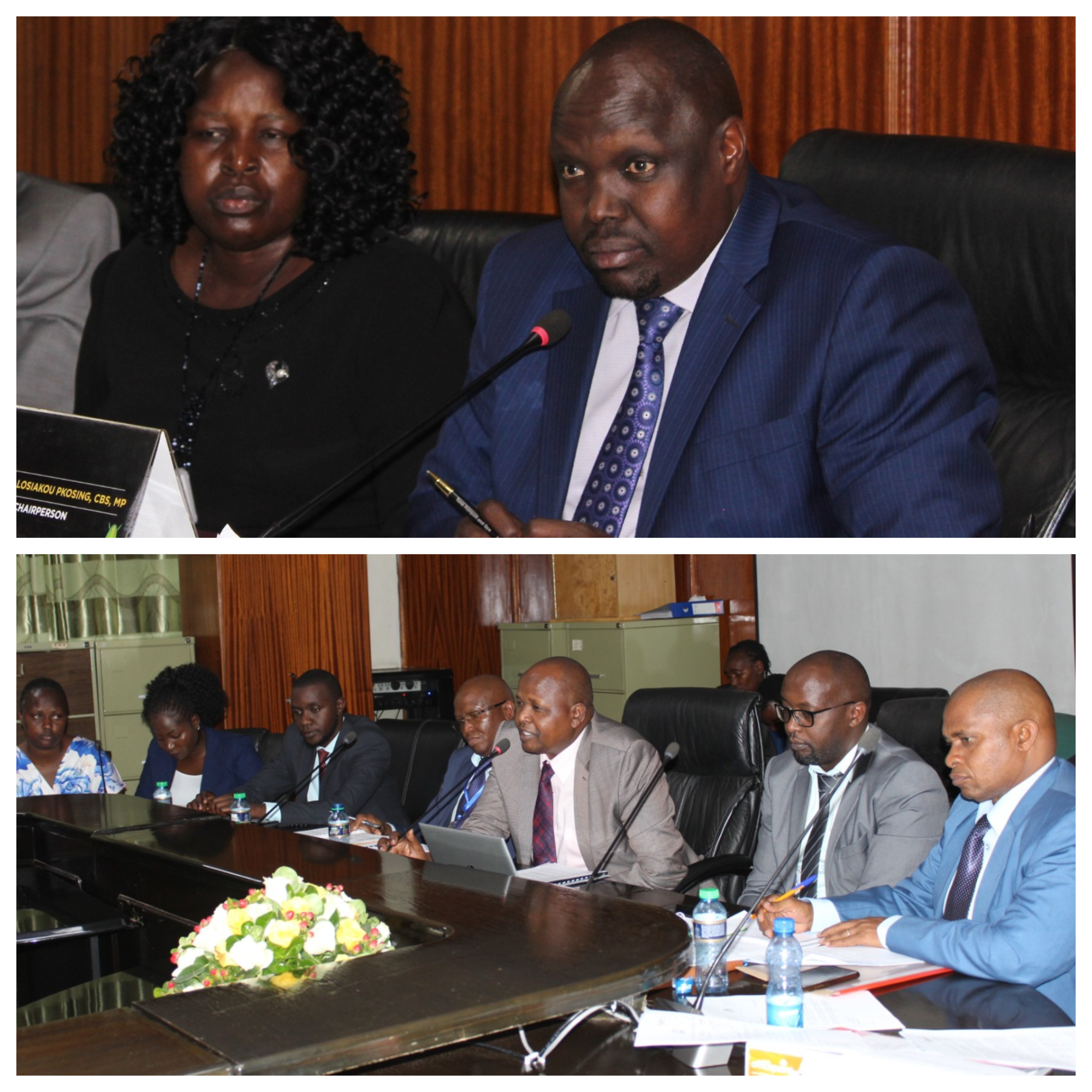 PIC CA&E PROBES KENYA FOREST SERVICES AUDIT REPORTS