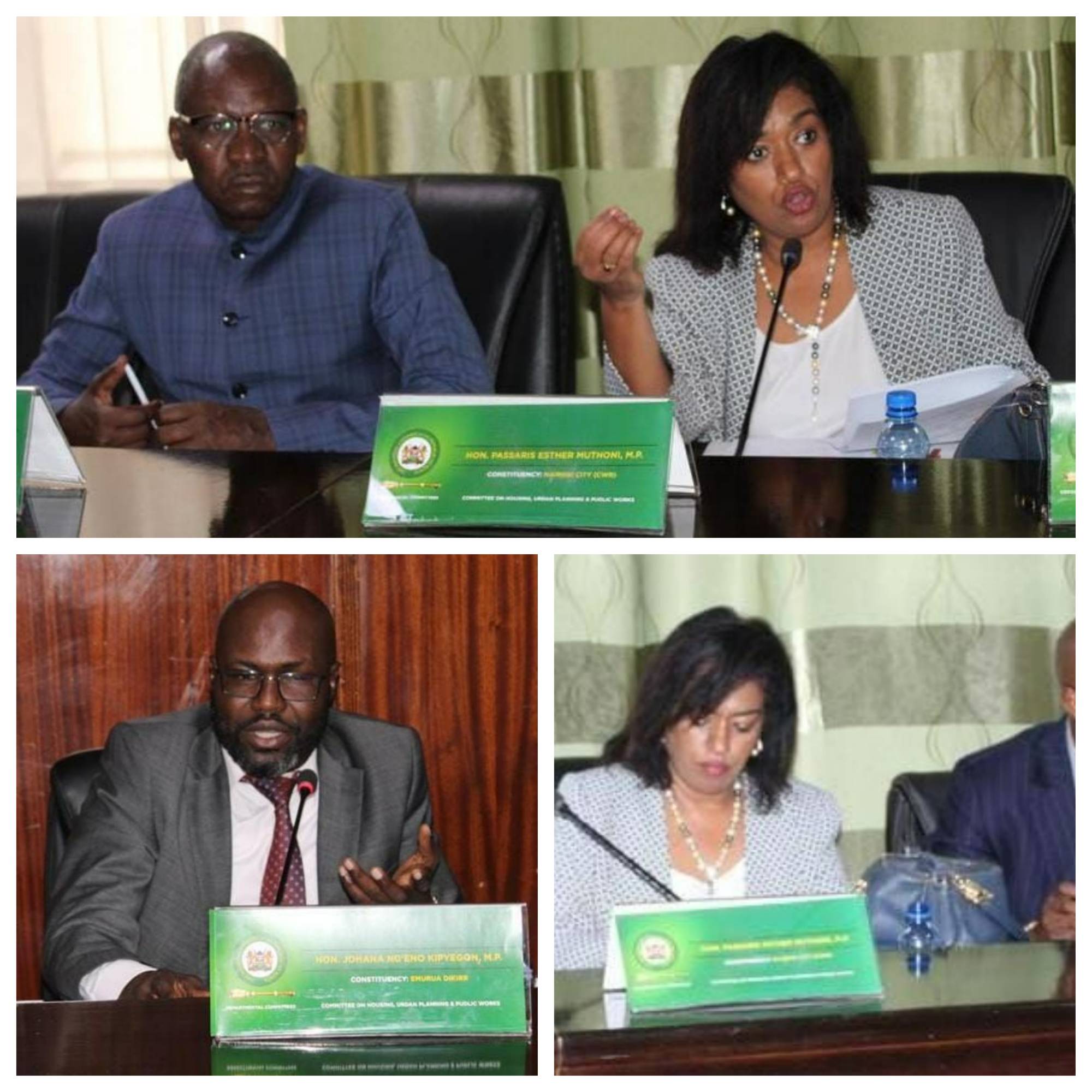 COMMITTEE CONSIDERS CRITICAL AMENDMENTS TO HOUSING, ARCHITECTURAL LAW