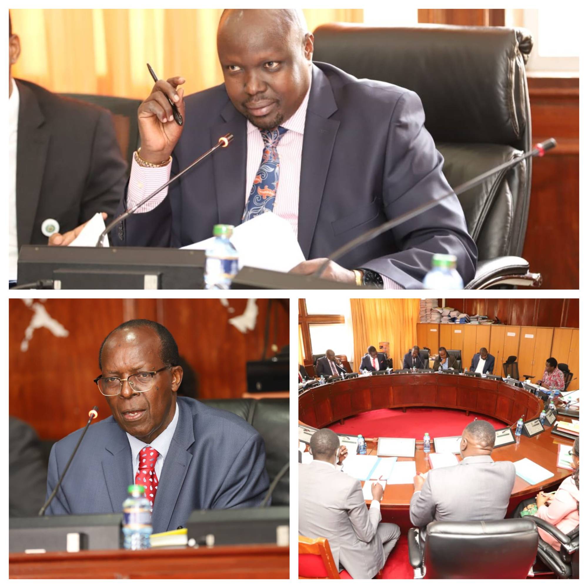 PIC ON ENERGY INVESTIGATES ALLEGED IRREGULAR APPOINTMENT OF EPRA DIRECTOR GENERAL 