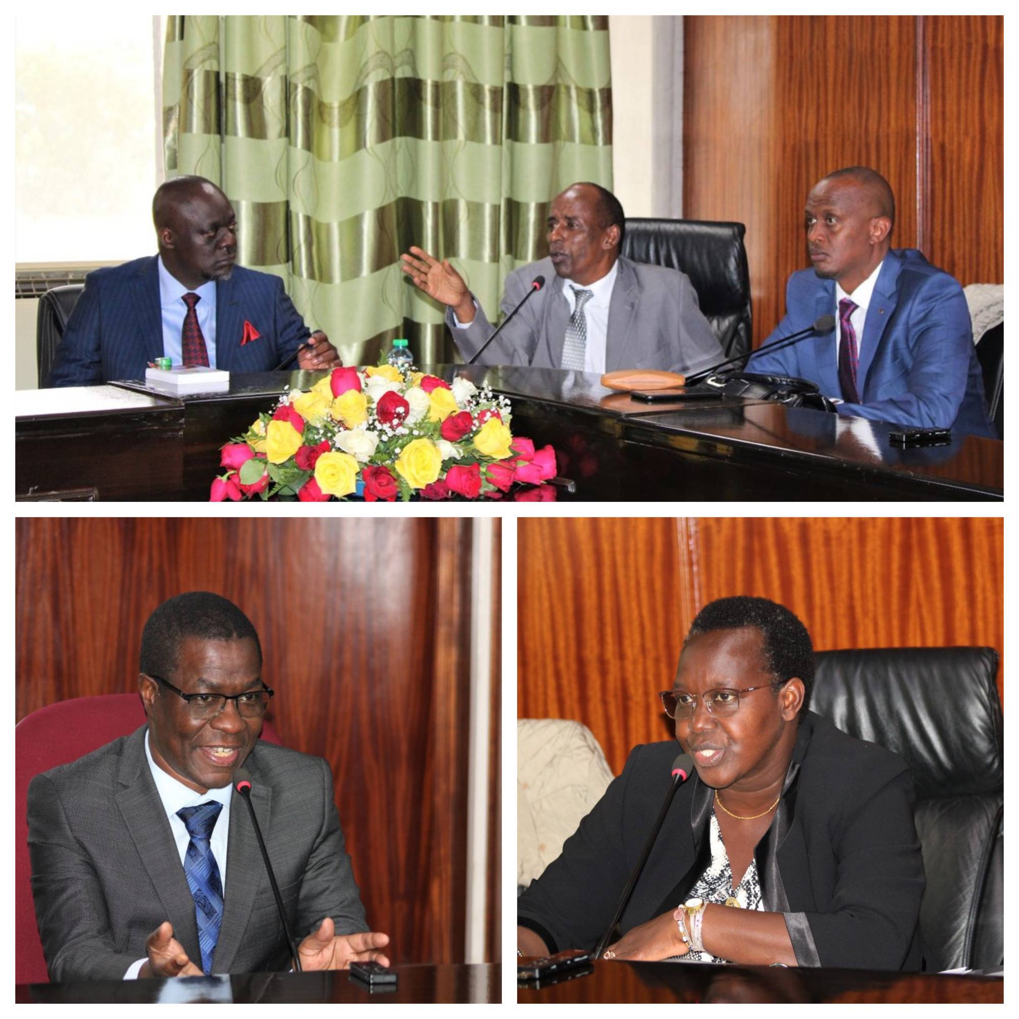 PETITION COMMITTEE CONSIDERS A HYBRID SYSTEM OF GOVERNMENT