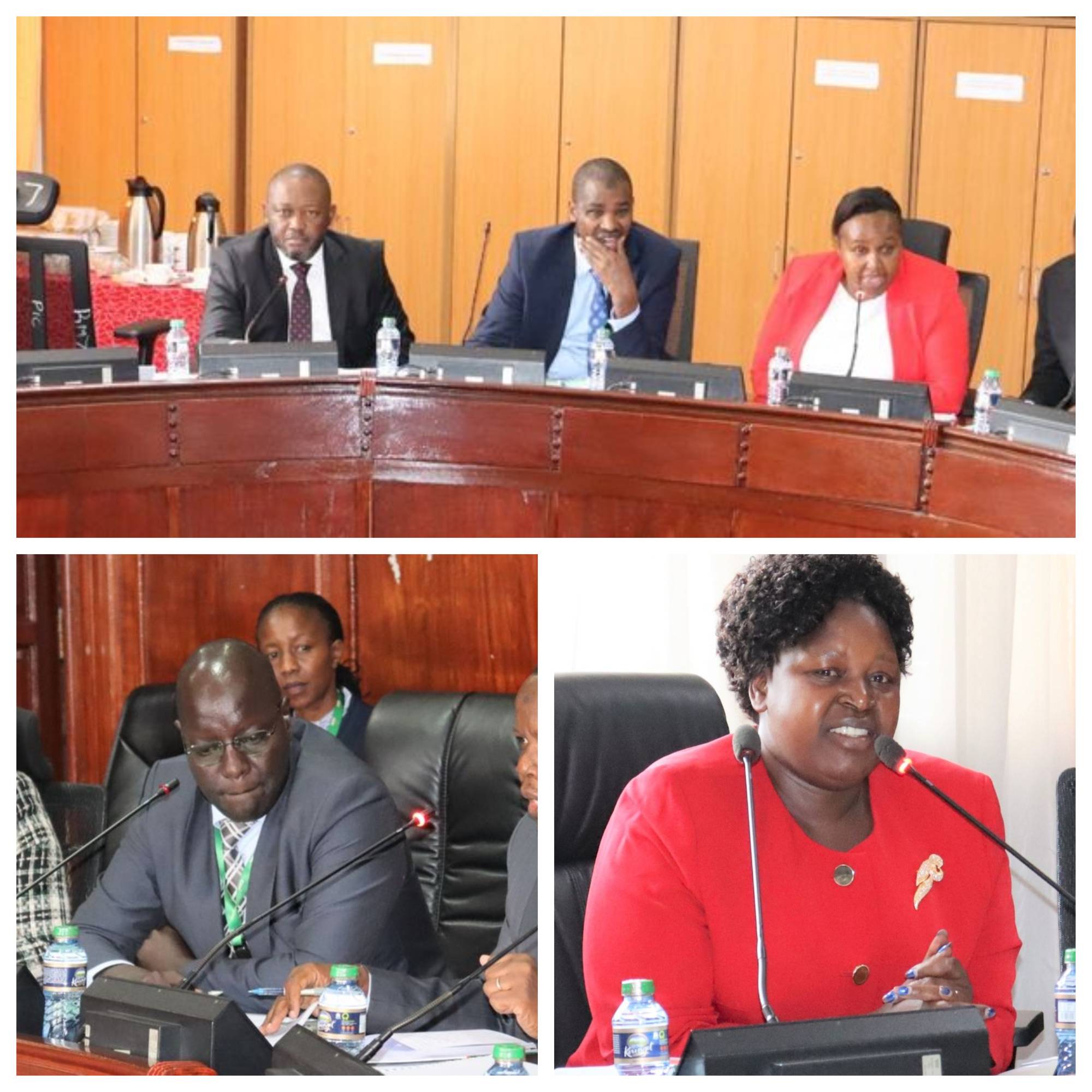 COMMITTEE PROBES GEOTHERMAL DEVELOPMENT AGENCY