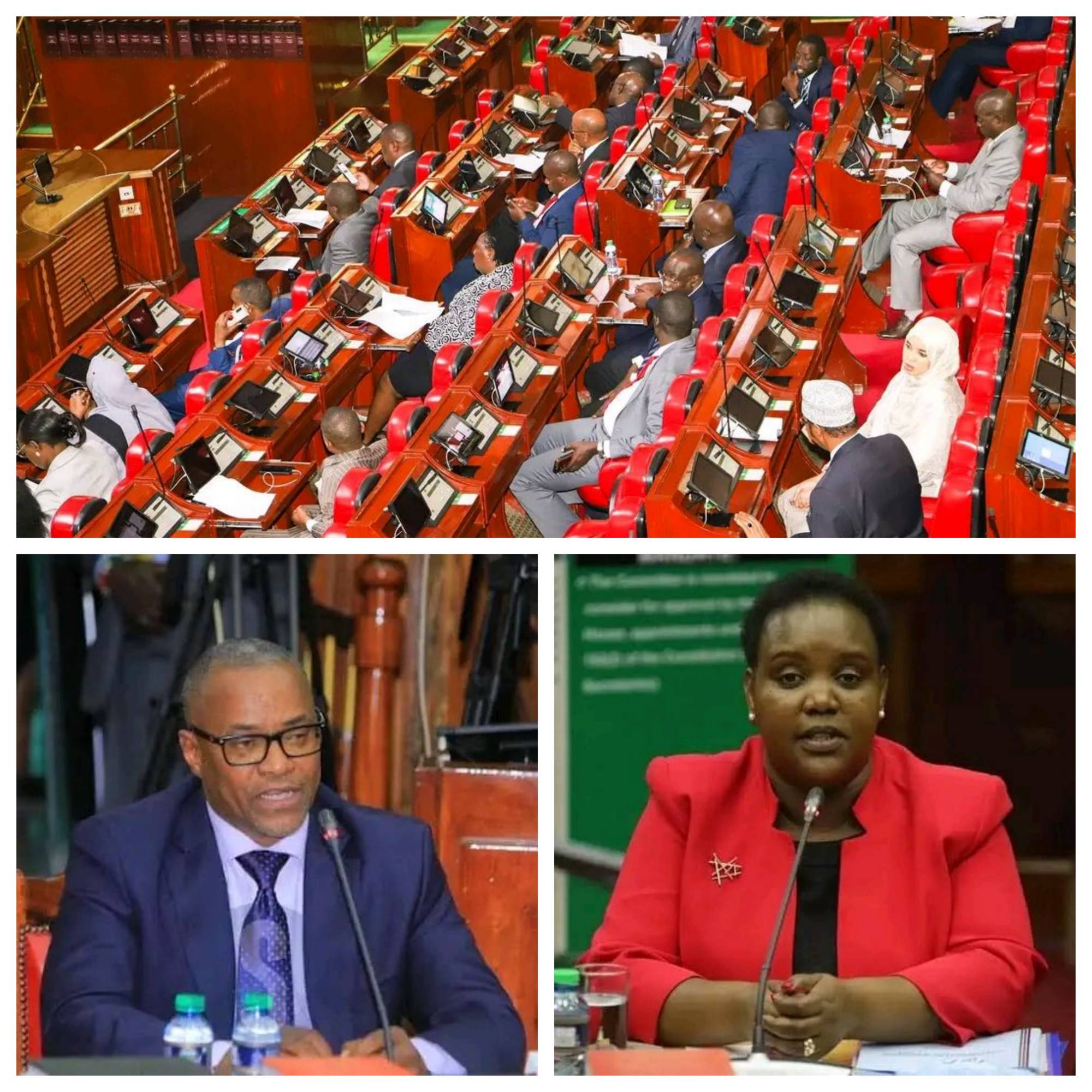 LANDS AND LABOUR CABINET SECRETARIES ARE NEXT TO APPEAR BEFORE THE NATIONAL ASSEMBLY