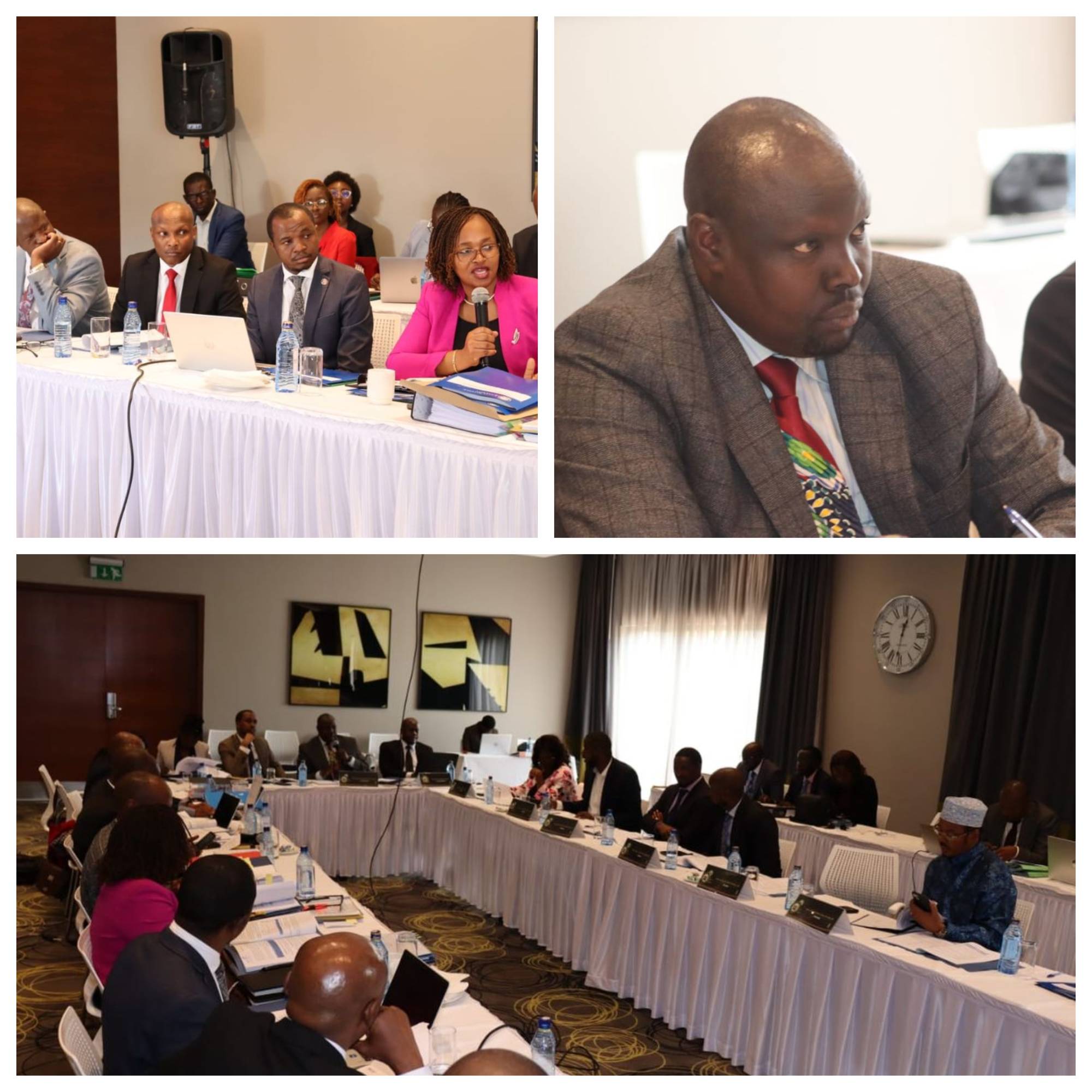 PIC ON ENERGY, COMMERCIAL AFFAIRS PROBES KRA ON CONTRACT