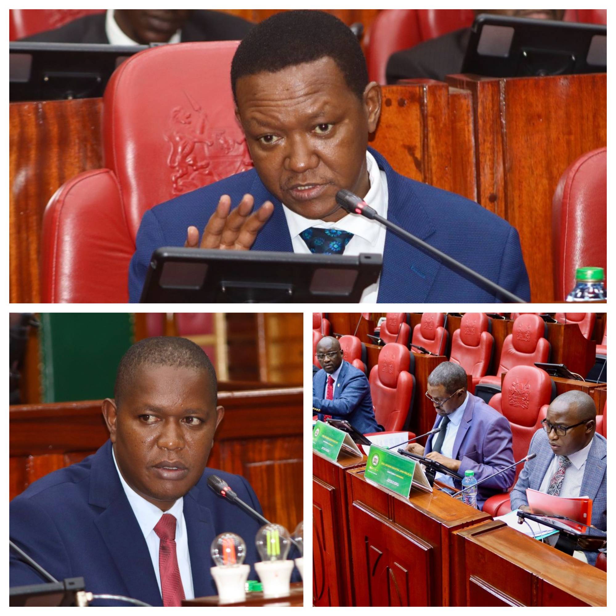 THE COMMITTEE ON  JUSTICE AND LEGAL AFFAIRS MEETS WITH CS FOREIGN AND DIASPORA AFFAIRS TO DISCUSS DOUBLE TAXATION