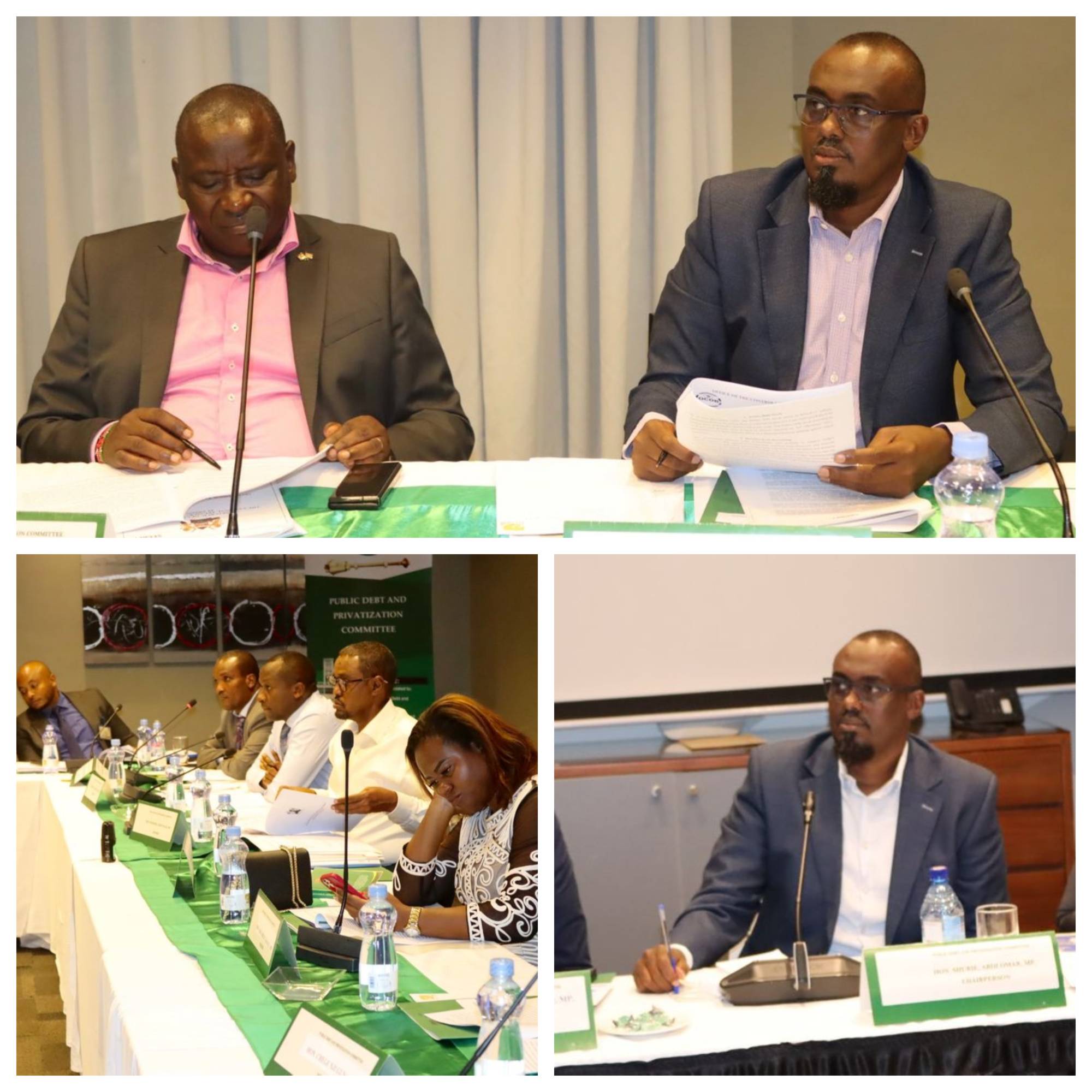 PUBLIC DEBT AND PRIVATIZATION COMMITTEE TABLES REPORT ON THE MEDIUM-TERM DEBT MANAGEMENT STRATEGY