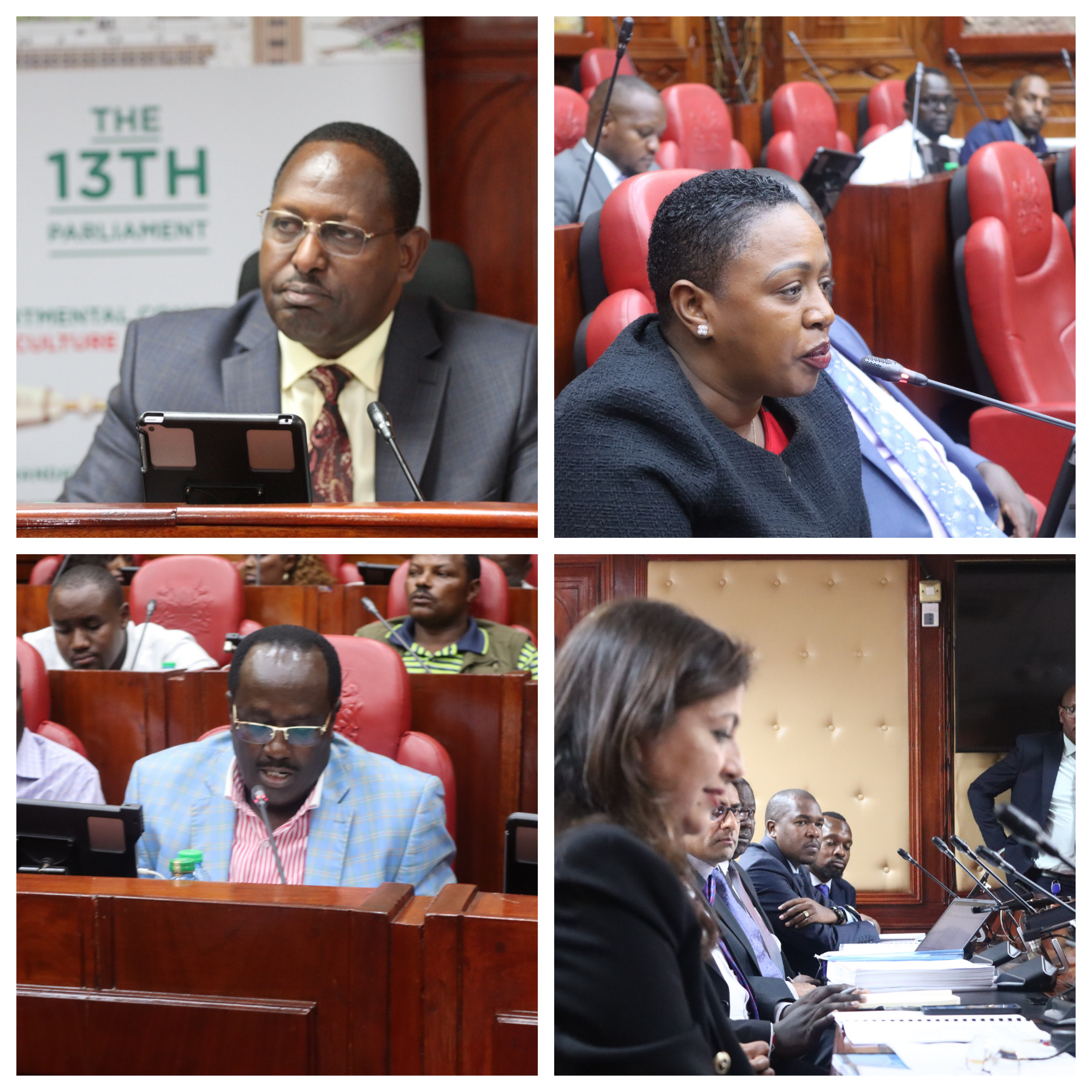 LAWMAKERS CONDUCT INQUIRY INTO THE MAIZE SUBSIDY PROGRAMME