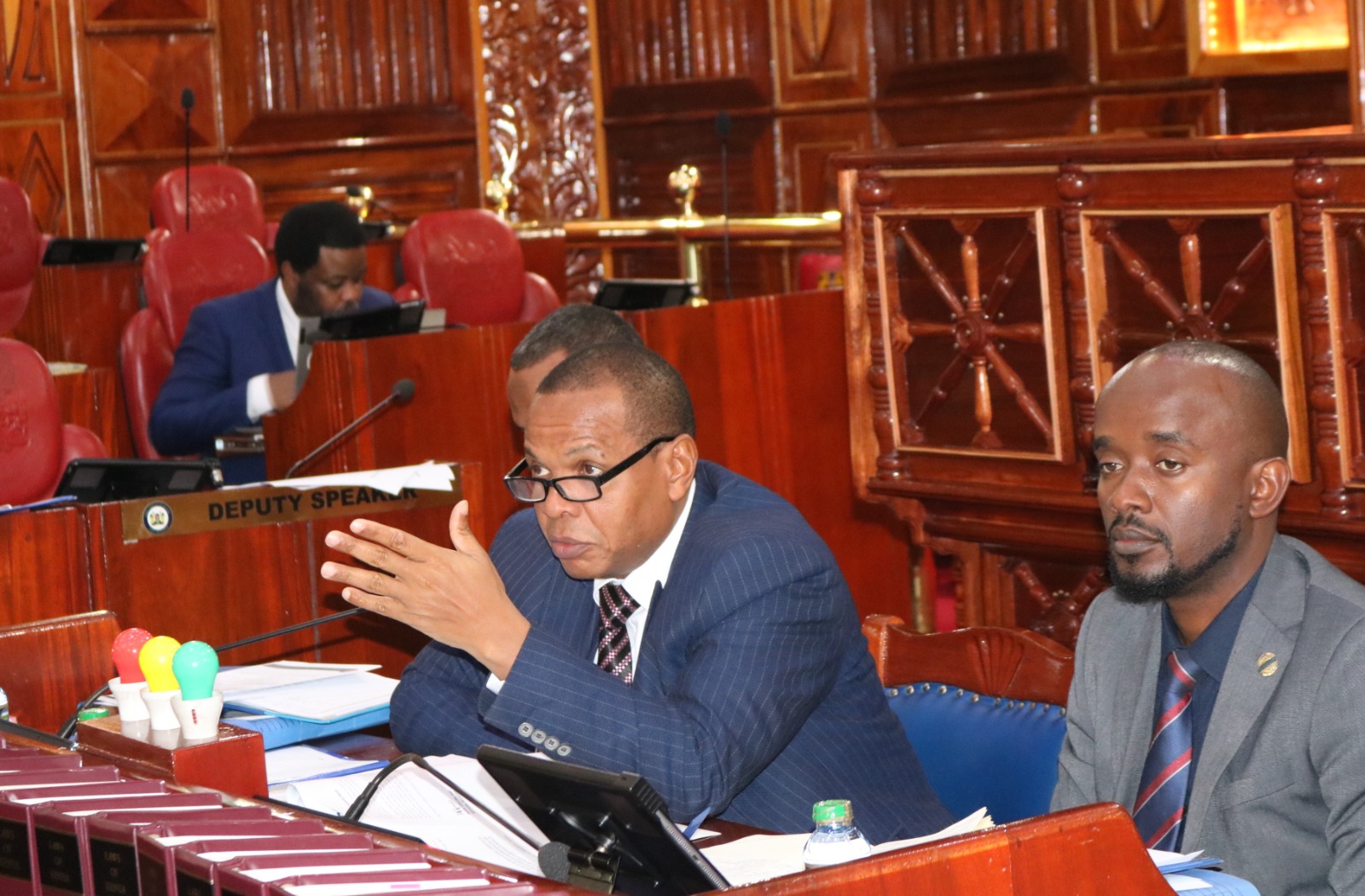 DECRIMINALISE SUICIDAL TENDENCIES, KNCHR TELLS SENATE SHAKAHOLA COMMITTEE