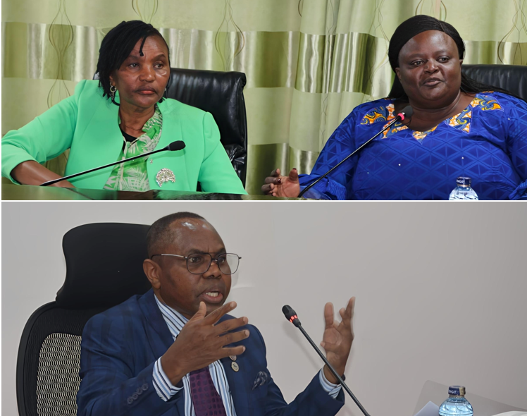  Decentralized Accounts Committee 