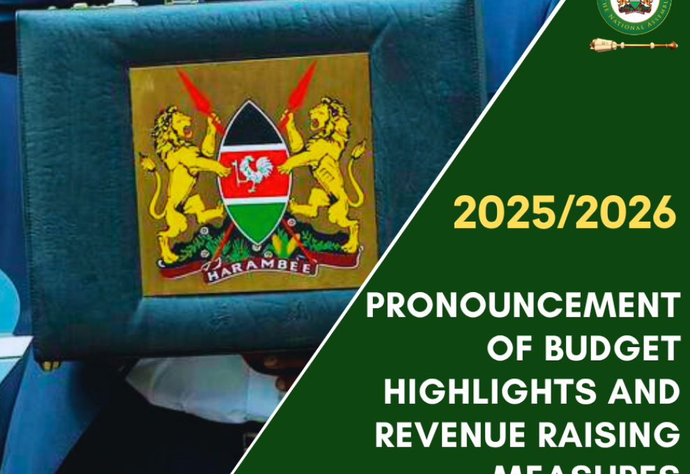 2025 BUDGET