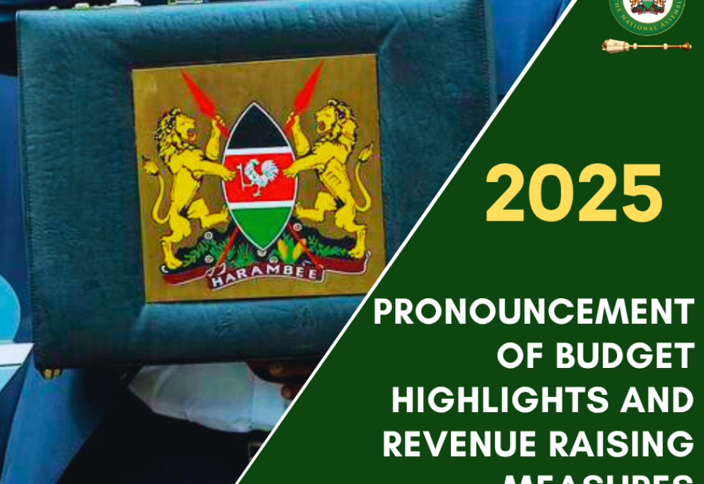 2025 BUDGET