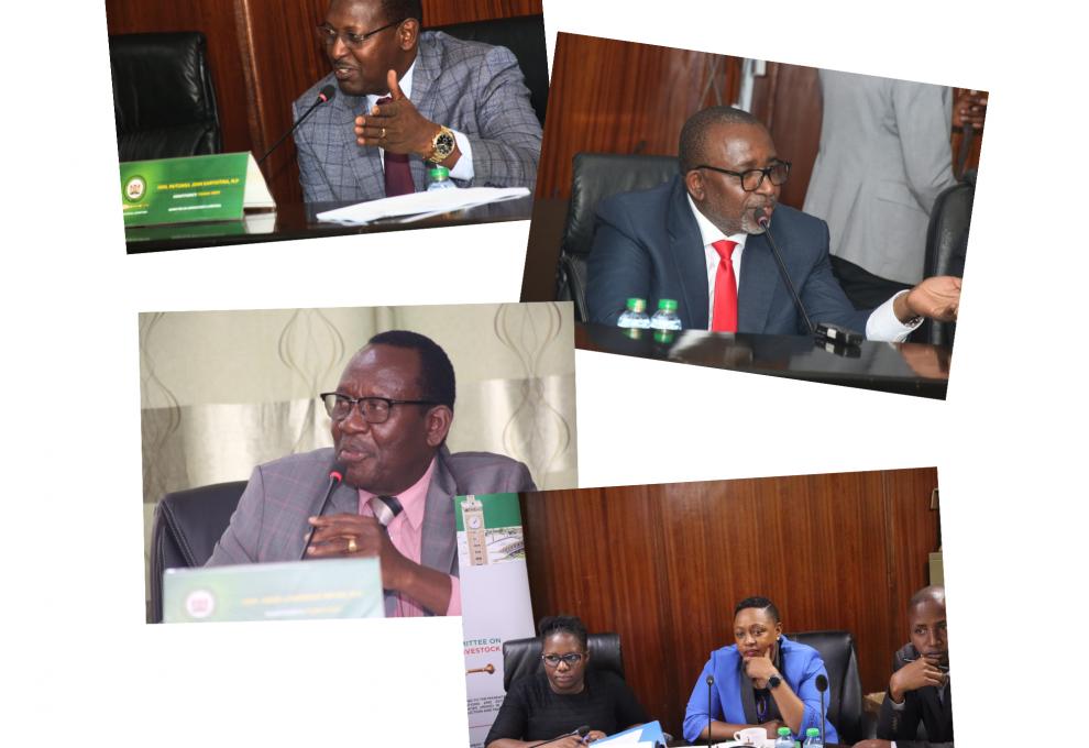 National Assembly's Agriculture Committee Questions Cabinet Secretary Over Subsidized Maize Flour Program