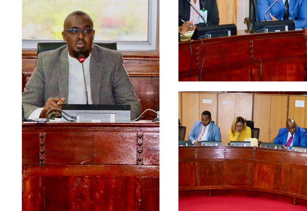 PBO APPRISES THE PUBLIC DEBT AND PRIVATIZATION COMMITTEE ON LOANS BORROWED BY NATIONAL GOVERNMENT 