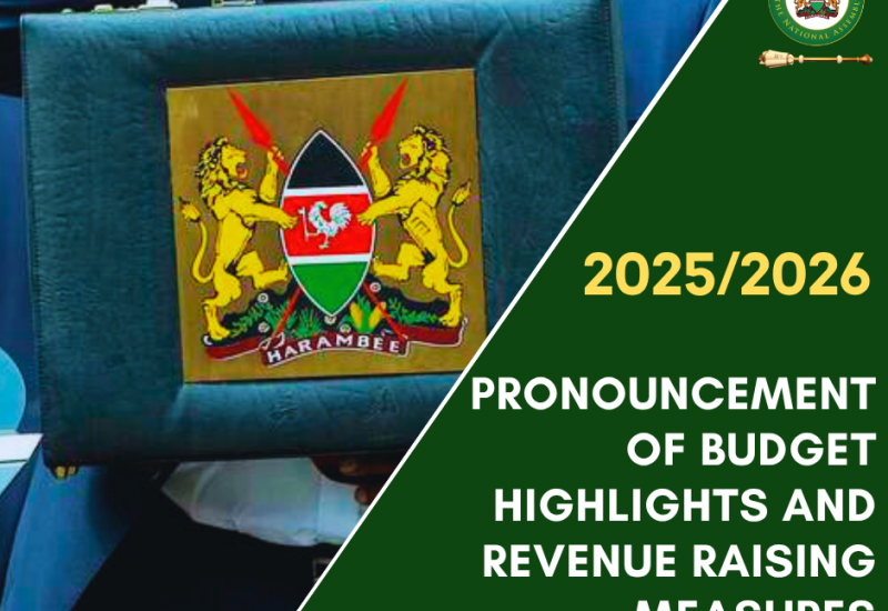 2025 BUDGET
