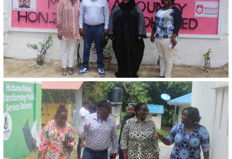 MEMBERS SERVICES AND FACILITIES COMMITTEE COLLECT VIEWS FROM  CONSTITUENCY OFFICES' STAFF
