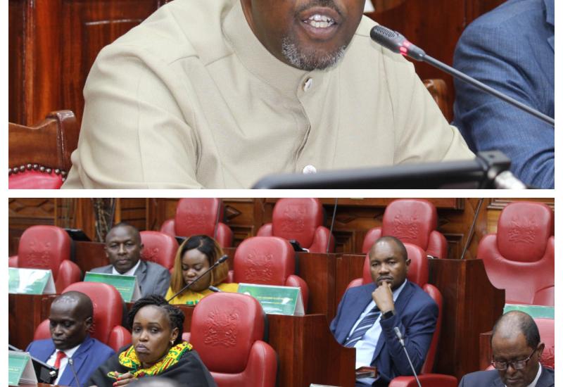 DEFENCE COMMITTEE SUMMONS FOREIGN AND DIASPORA AFFAIRS CS