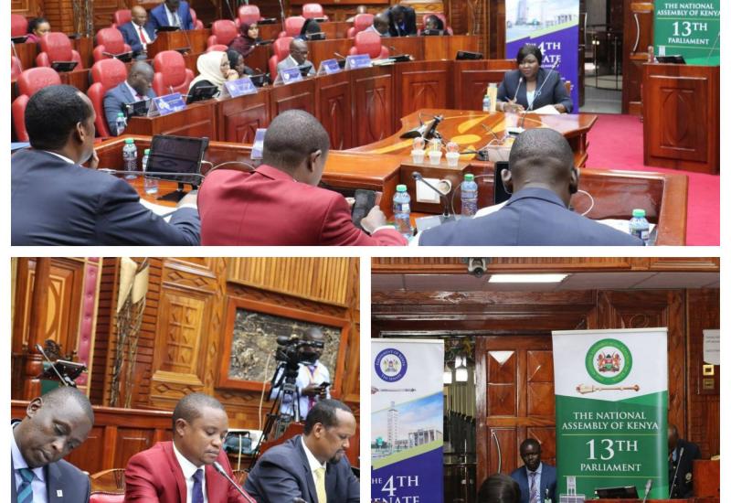 JOINT-PARLIAMENTARY COMMITTEE CONDUCTS VETTING & APPROVAL HEARINGS FOR DEPUTY CBK GOVERNOR NOMINEE 