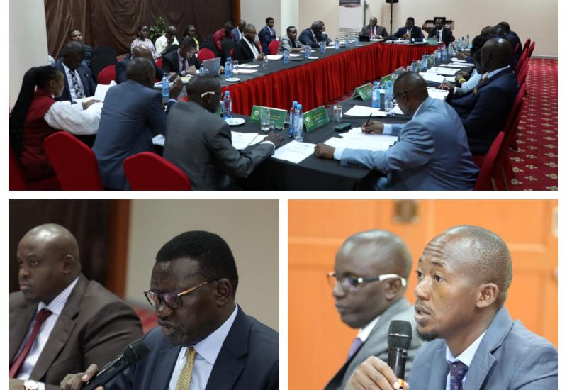 ENERGY COMMITTEE PROBES MINISTRY ON THE GOVERNMENT-TO-GOVERNMENT FUEL IMPORTATION DEAL