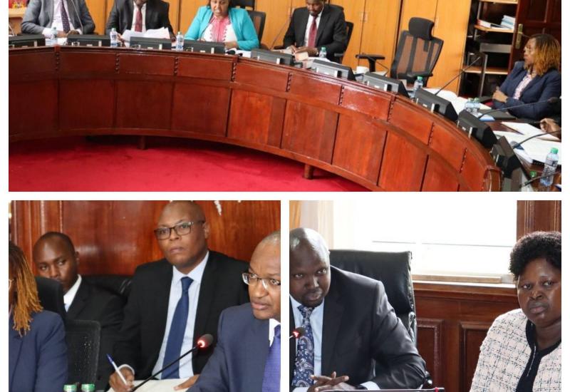 COMMITTEE INVITES SOLICITOR GENERAL OVER CBK AUDIT QUERY
