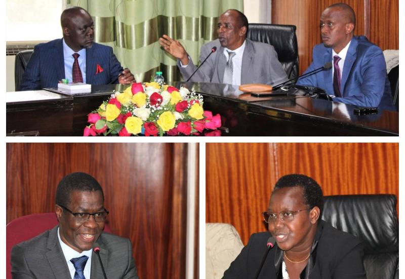 PETITION COMMITTEE CONSIDERS A HYBRID SYSTEM OF GOVERNMENT