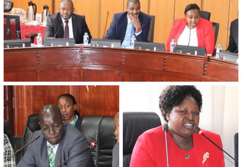 COMMITTEE PROBES GEOTHERMAL DEVELOPMENT AGENCY