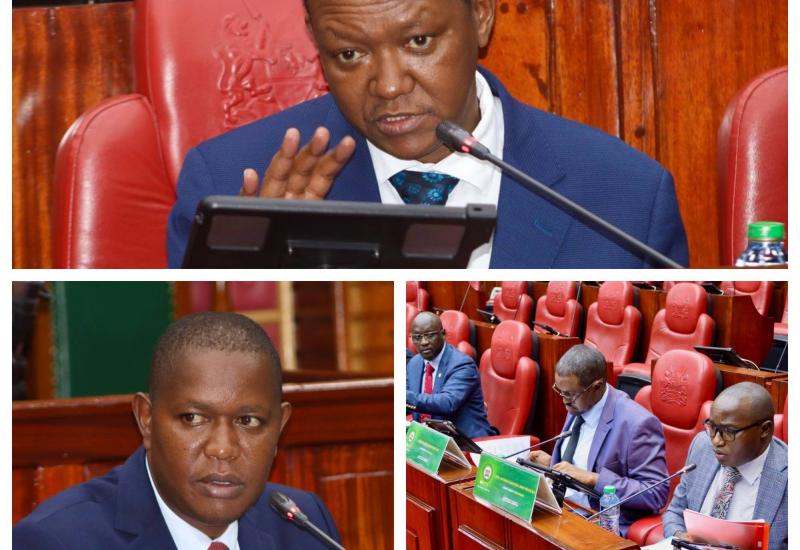 THE COMMITTEE ON  JUSTICE AND LEGAL AFFAIRS MEETS WITH CS FOREIGN AND DIASPORA AFFAIRS TO DISCUSS DOUBLE TAXATION