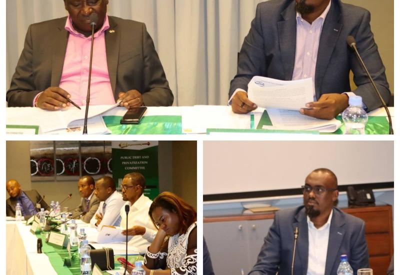 PUBLIC DEBT AND PRIVATIZATION COMMITTEE TABLES REPORT ON THE MEDIUM-TERM DEBT MANAGEMENT STRATEGY