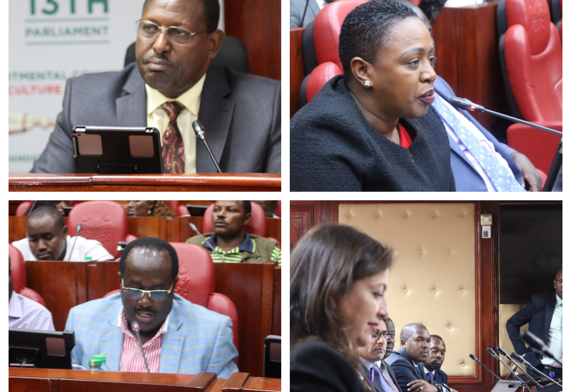 LAWMAKERS CONDUCT INQUIRY INTO THE MAIZE SUBSIDY PROGRAMME