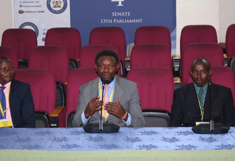 PETITIONERS FOR LINDA SOKA TAPPING INTO KSHS. 302 BILLION FOOTBALL FUND APPEARS BEFORE SENATE COMMITTEE.