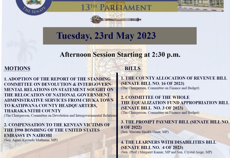 Senate Plenary 23rd May 2023