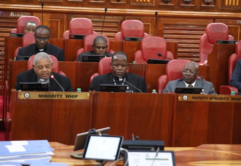 SHAKAHOLA DEATHS ARE CRIMINAL NOT RELIGION, SENATE ADHOC COMMITTEE IS TOLD 