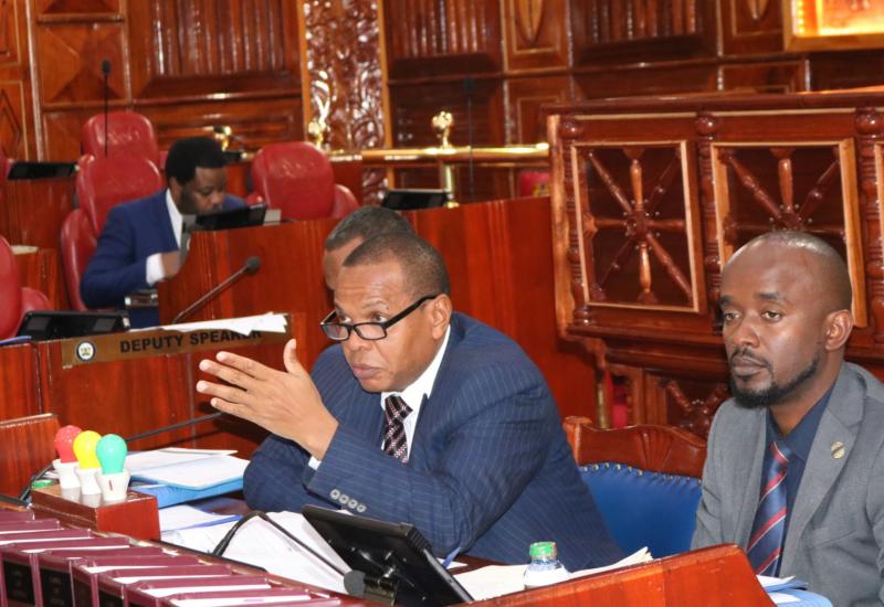 DECRIMINALISE SUICIDAL TENDENCIES, KNCHR TELLS SENATE SHAKAHOLA COMMITTEE