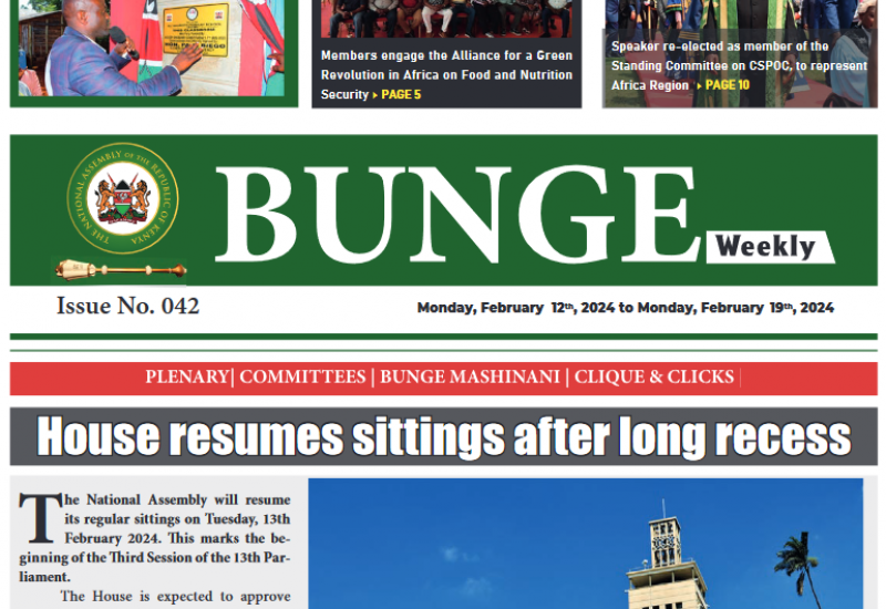 Bunge Weekly Issue 042