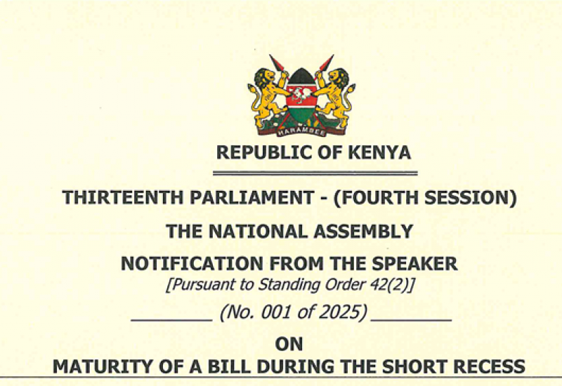 NOTIFICATION FROM THE SPEAKER No. 001 of 2025