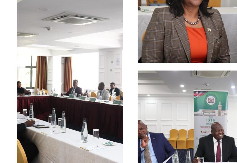 COMMITTEE ON REGIONAL DEVELOPMENT QUESTIONS CS ON DROUGHT 