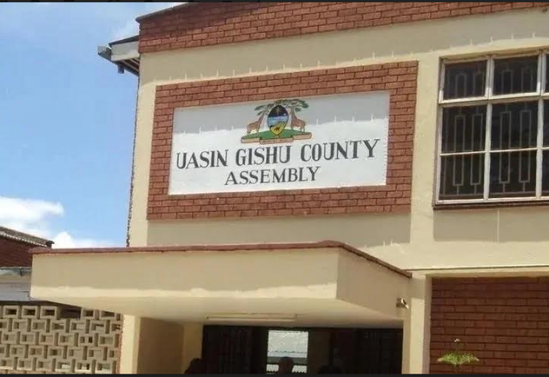 uasin_gichu