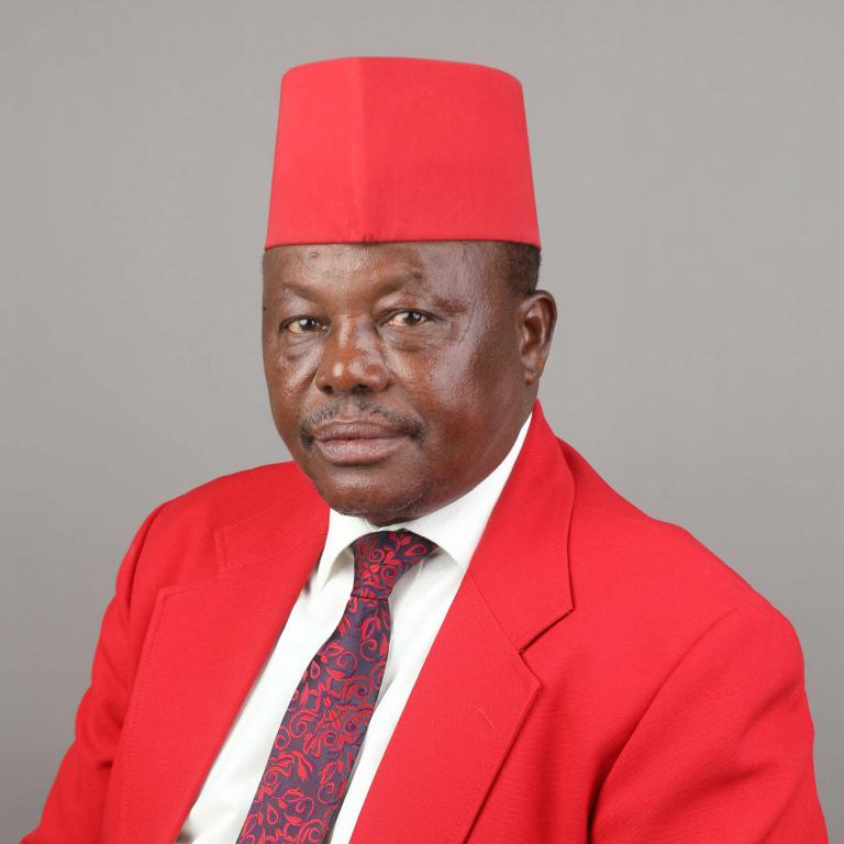 Portrait of Chumel, Moroto Samwel