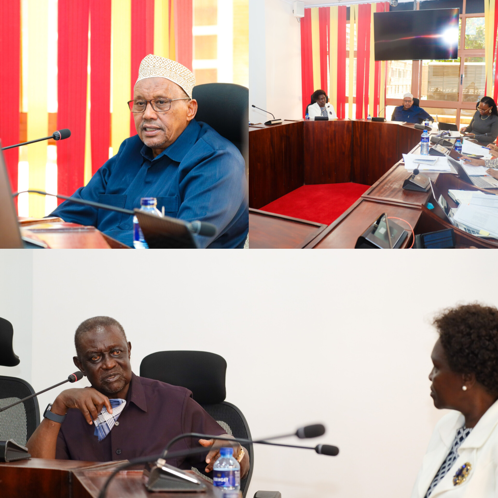 𝐒𝐄𝐍𝐀𝐓𝐄 𝐂𝐎𝐌𝐌𝐈𝐓𝐓𝐄𝐄 𝐒𝐄𝐓𝐒 𝐒𝐓𝐀𝐆𝐄 𝐅𝐎𝐑 𝐁𝐎𝐋𝐃 𝐑𝐄𝐅𝐎𝐑𝐌𝐒 𝐈𝐍 𝐂𝐎𝐔𝐍𝐓𝐘 𝐆𝐎𝐕𝐄𝐑𝐍𝐀𝐍𝐂𝐄   