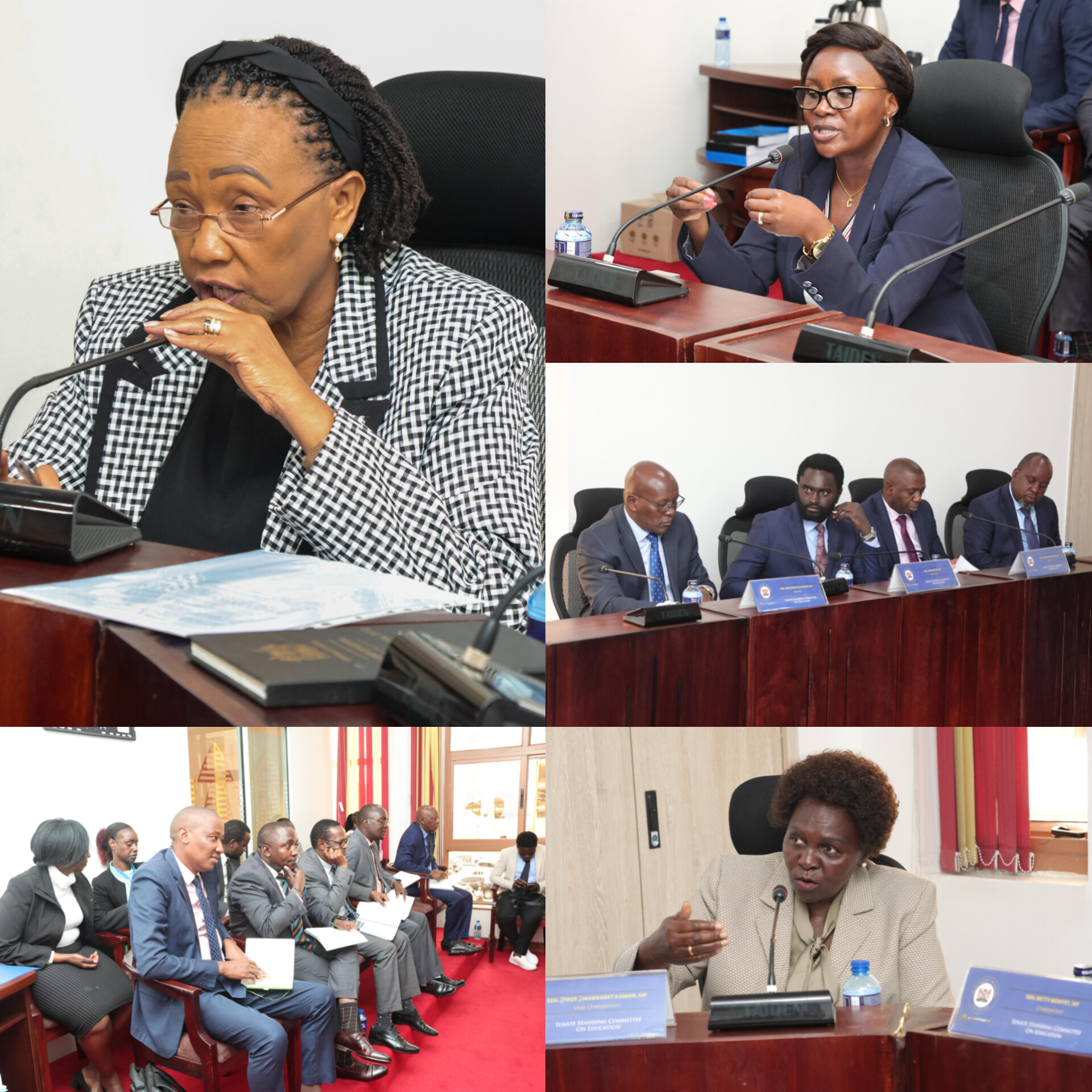 𝐒𝐄𝐍𝐀𝐓𝐄 𝐄𝐃𝐔𝐂𝐀𝐓𝐈𝐎𝐍 𝐂𝐎𝐌𝐌𝐈𝐓𝐓𝐄𝐄 𝐇𝐎𝐋𝐃𝐒 𝐂𝐎𝐍𝐒𝐔𝐋𝐓𝐀𝐓𝐈𝐕𝐄 𝐌𝐄𝐄𝐓𝐈𝐍𝐆 𝐖𝐈𝐓𝐇 𝐄𝐌𝐁𝐔 𝐆𝐎𝐕𝐄𝐑𝐍𝐎𝐑 𝐎𝐍 𝐄𝐂𝐃𝐄 𝐀𝐍𝐃 𝐕𝐎𝐂𝐀𝐓𝐈𝐎𝐍𝐀𝐋 𝐓𝐑𝐀𝐈𝐍𝐈𝐍𝐆  