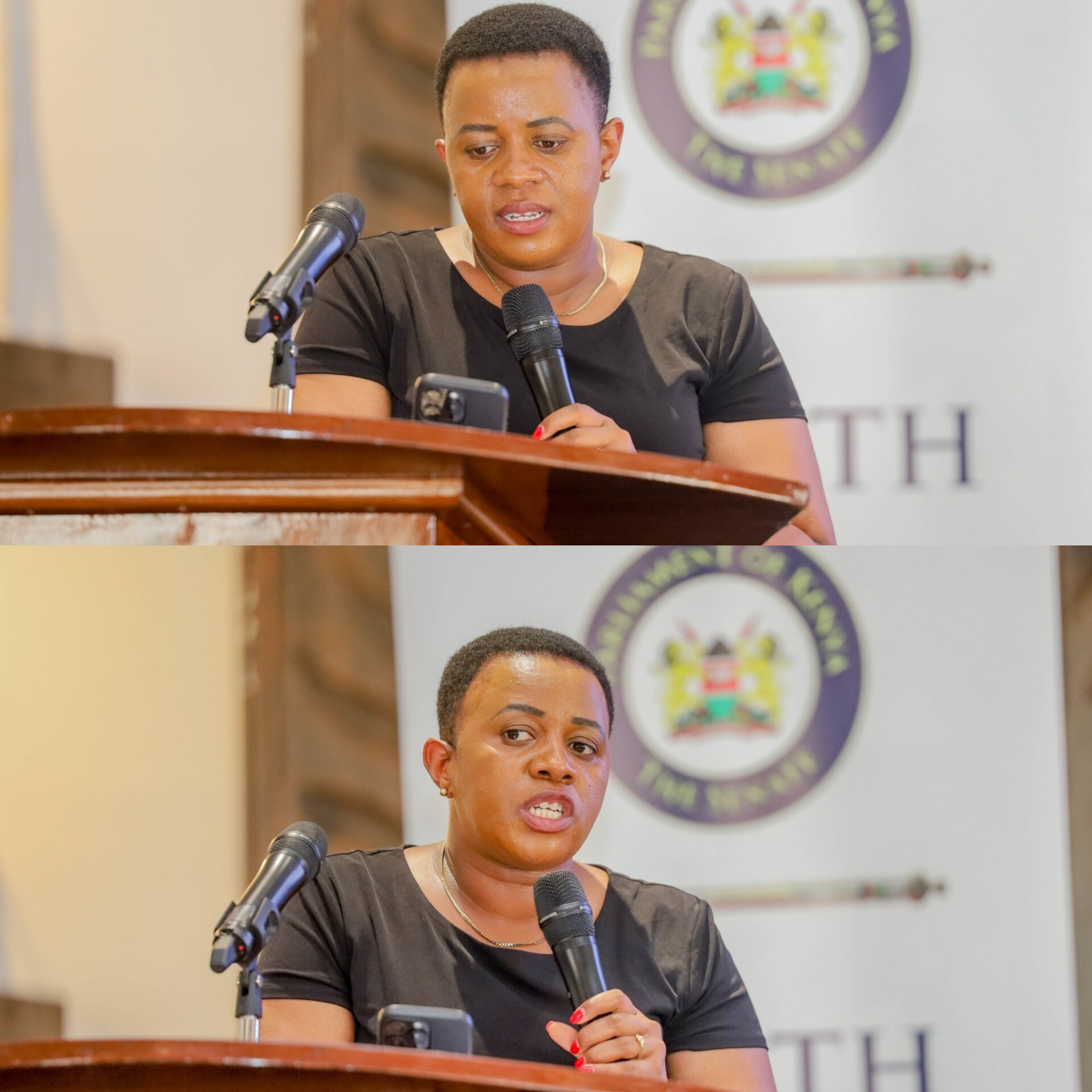 𝐓𝐇𝐄 𝐍𝐄𝐄𝐃 𝐅𝐎𝐑 𝐒𝐓𝐑𝐎𝐍𝐆𝐄𝐑 𝐄𝐗𝐄𝐂𝐔𝐓𝐈𝐕𝐄–𝐏𝐀𝐑𝐋𝐈𝐀𝐌𝐄𝐍𝐓 𝐒𝐘𝐍𝐄𝐑𝐆𝐘  