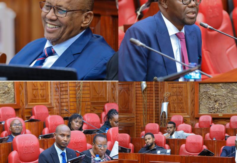 DEVOLUTION COMMITTEE CONDUCTS PUBLIC HEARING ON THE COUNTY GOVERNMENTS' LAWS  