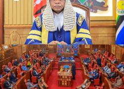 𝐒𝐄𝐍𝐀𝐓𝐄 𝐓𝐎 𝐂𝐎𝐍𝐒𝐈𝐃𝐄𝐑 𝐈𝐌𝐏𝐄𝐀𝐂𝐇𝐌𝐄𝐍𝐓 𝐂𝐇𝐀𝐑𝐆𝐄𝐒 𝐀𝐆𝐀𝐈𝐍𝐒𝐓 𝐍𝐘𝐀𝐌𝐈𝐑𝐀 𝐆𝐎𝐕𝐄𝐑𝐍𝐎𝐑 𝐀𝐌𝐎𝐒 𝐍𝐘𝐀𝐑𝐈𝐁𝐎  