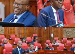 DEVOLUTION COMMITTEE CONDUCTS PUBLIC HEARING ON THE COUNTY GOVERNMENTS' LAWS  