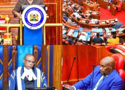 𝐓𝐇𝐄 𝐒𝐄𝐍𝐀𝐓𝐄 𝐃𝐄𝐌𝐀𝐍𝐃𝐒 𝐂𝐋𝐄𝐀𝐑 𝐀𝐍𝐒𝐖𝐄𝐑𝐒 𝐎𝐍 𝐃𝐑𝐎𝐔𝐆𝐇𝐓 𝐑𝐄𝐒𝐏𝐎𝐍𝐒𝐄  