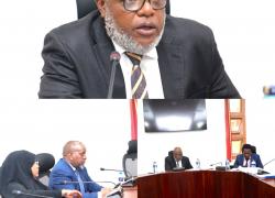 𝐒𝐄𝐍𝐀𝐓𝐄 𝐂𝐎𝐌𝐌𝐈𝐓𝐓𝐄𝐄 𝐈𝐒𝐒𝐔𝐄𝐒 𝐀 𝐅𝐈𝐍𝐀𝐋 𝐒𝐔𝐌𝐌𝐎𝐍 𝐓𝐎 𝐁𝐔𝐍𝐆𝐎𝐌𝐀 𝐆𝐎𝐕𝐄𝐑𝐍𝐎𝐑 𝐎𝐕𝐄𝐑 𝐅𝐋𝐋𝐨𝐂𝐀 𝐏𝐑𝐎𝐆𝐑𝐀𝐌𝐌𝐄   