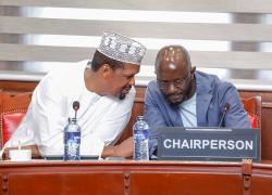 MEDIATION COMMITTEE CO-CHAIRS